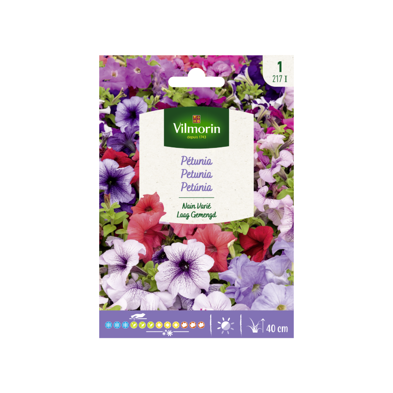 SEMILLAS PETUNIA Enana Variada Vilmorin - Sobre 0,3 g