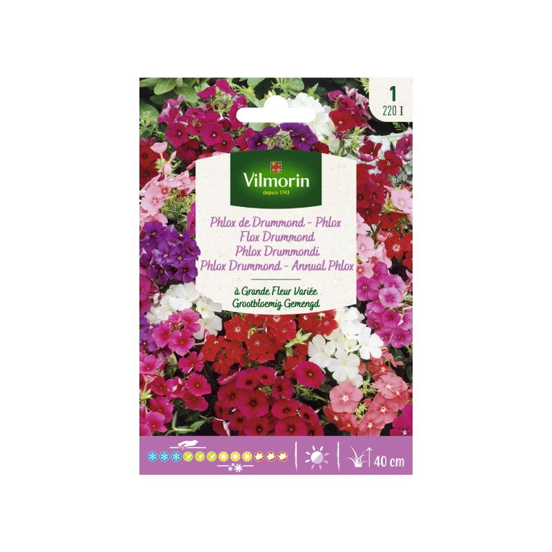 SEMILLAS FLOX Drummond Gran Flor Variada Vilmorin - Sobre 0,8 g