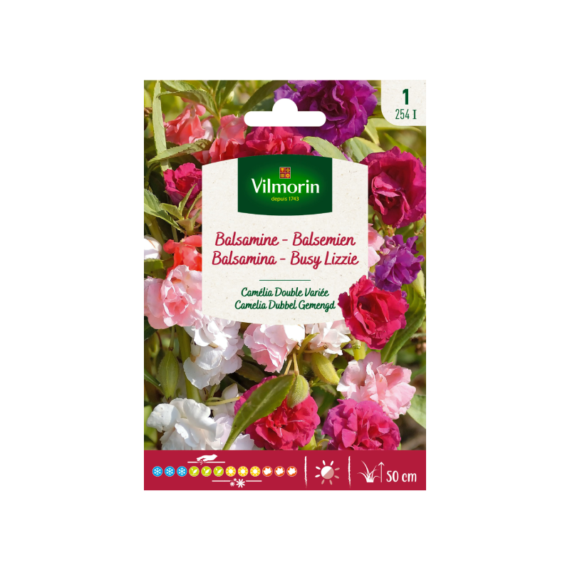 SEMILLAS BALSAMINA Camelia Doble Variada Vilmorin - Sobre 1,5 g