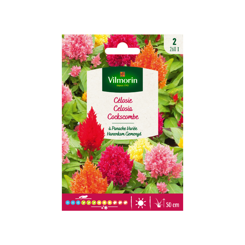 SEMILLAS CELOSÍA Plumosa Variada Vilmorin - Sobre 0,4 g
