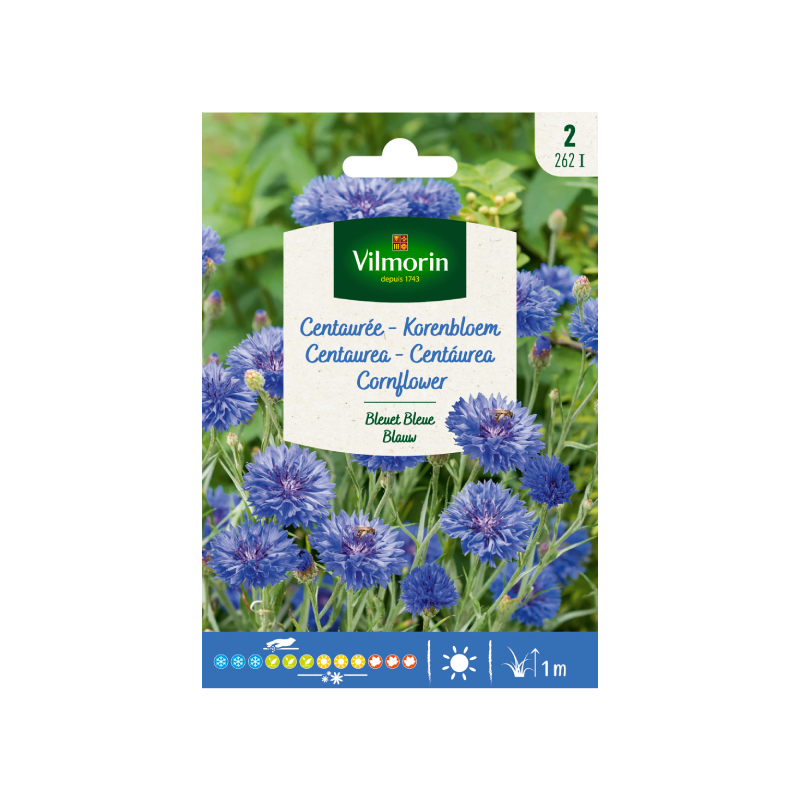 SEMILLAS CENTAUREA Azul Vilmorin - Sobre 2 g