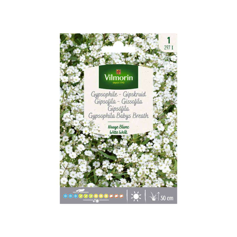 SEMILLAS GIPSOFILA Nube Blanca Vilmorin - Sobre 1 g