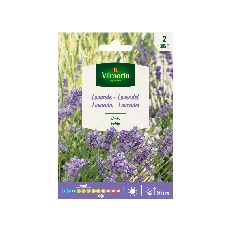 SEMILLAS LAVANDA Verdadera Vilmorin - Sobre 1,5 g