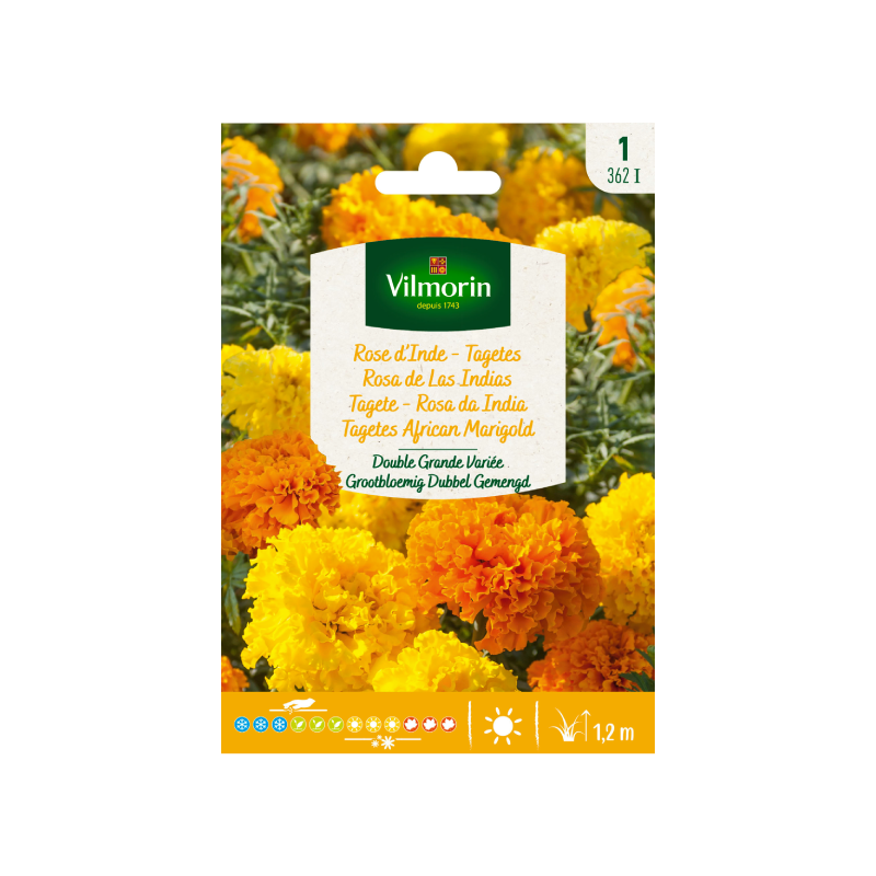 SEMILLAS ROSA De Las Indias Doble Grande Variada Vilmorin - Sobre 0,8 g