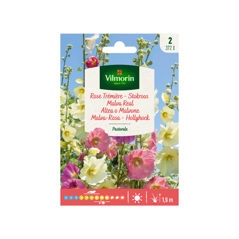 SEMILLAS MALVA REAL Patoral Vilmorin - Sobre 1 g