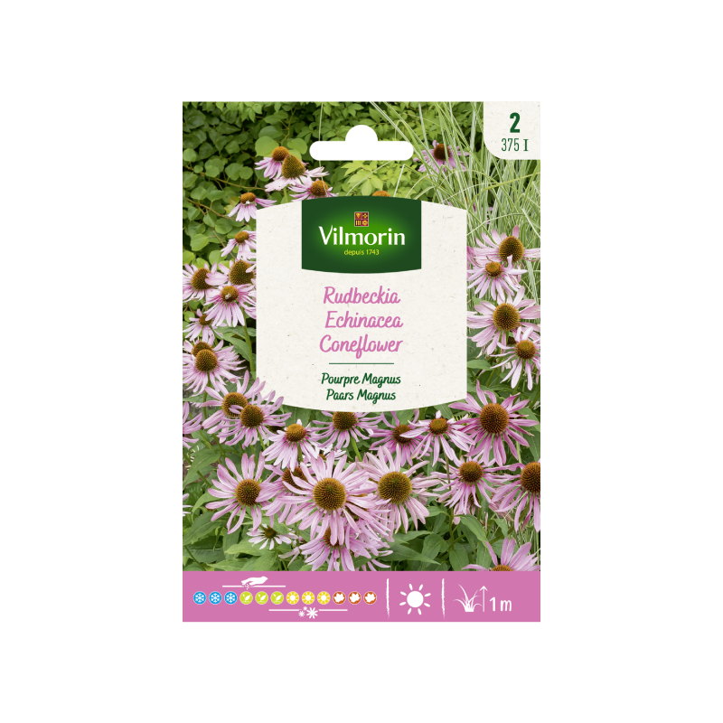 SEMILLAS RUDBECKIA Morada Magnus Vilmorin - Sobre 1 g
