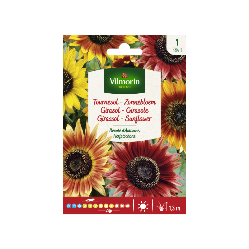 SEMILLAS GIRASOL Belleza de Otoño Vilmorin - Sobre 1,5 g