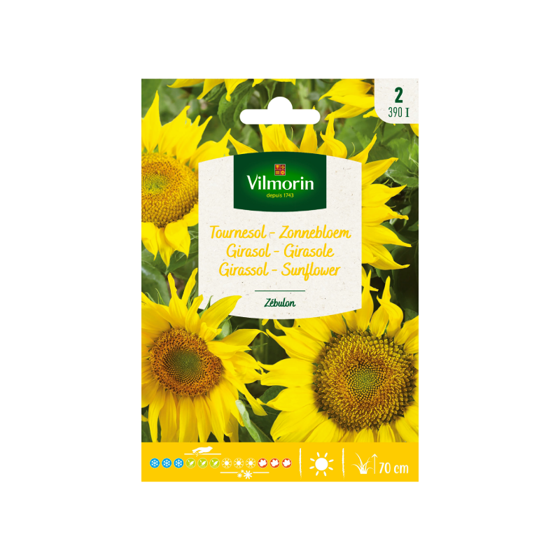 SEMILLAS GIRASOL Zebulon Vilmorin - Sobre 1 g