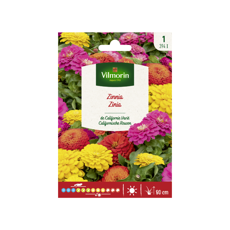 SEMILLAS ZINIA de California Variada Vilmorin - Sobre 1 g