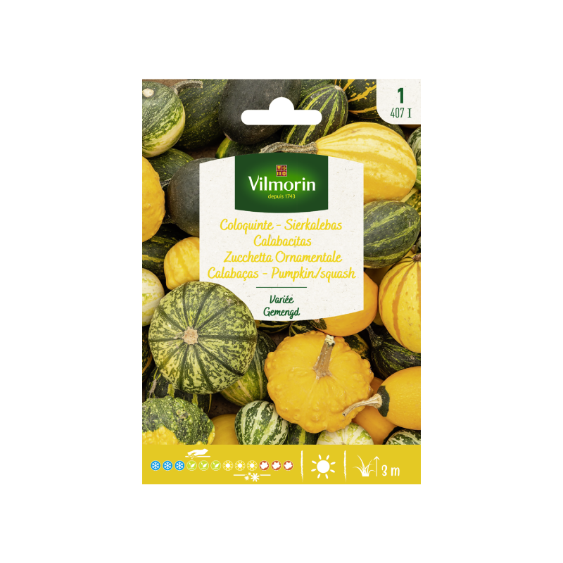 SEMILLAS CALABACITAS Variadas Vilmorin - Sobre 3 g