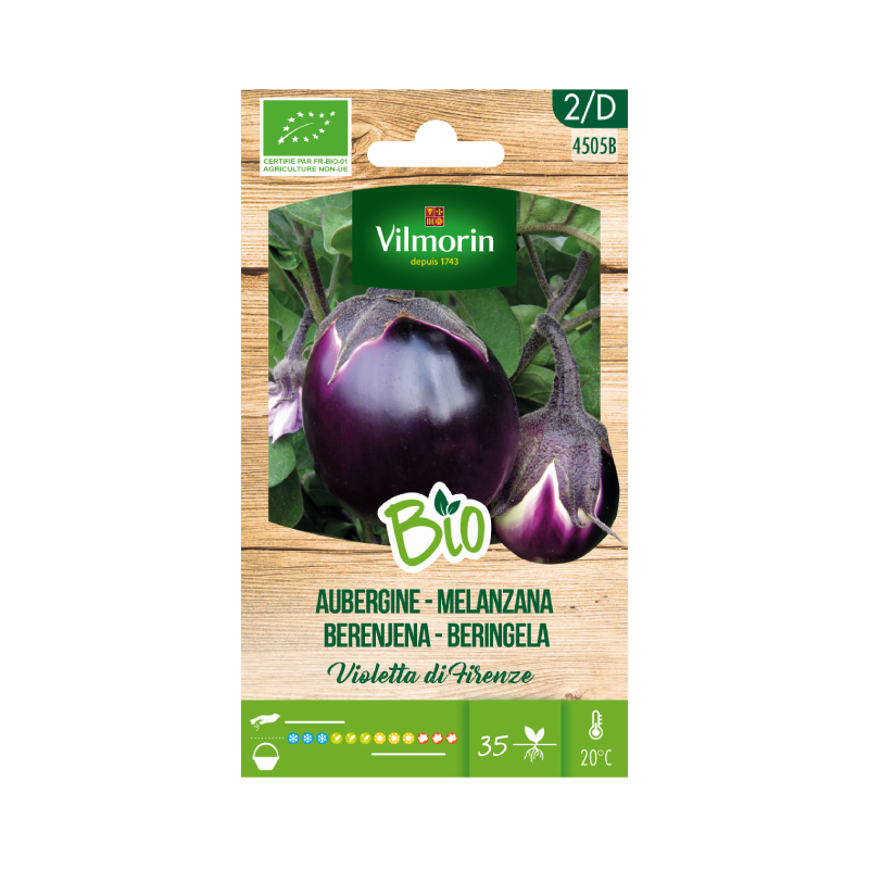 SEMILLAS BIO BERENJENA Violeta de Florencia Vilmorin - Sobre 0,5 g