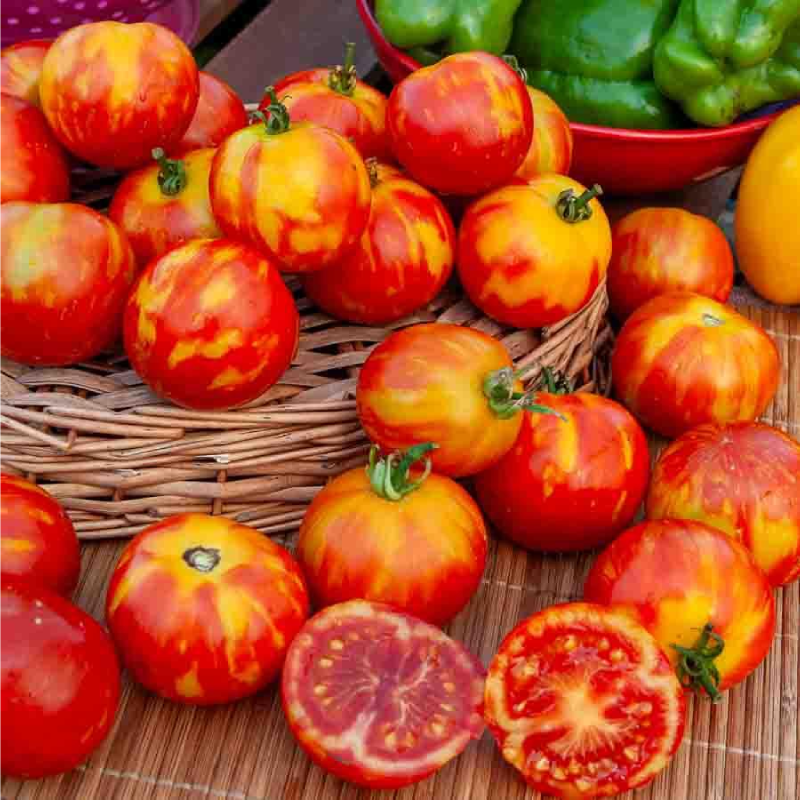 SEMILLAS BIO TOMATE Tigerella Vilmorin - Sobre 0,2 g - Imagen 2