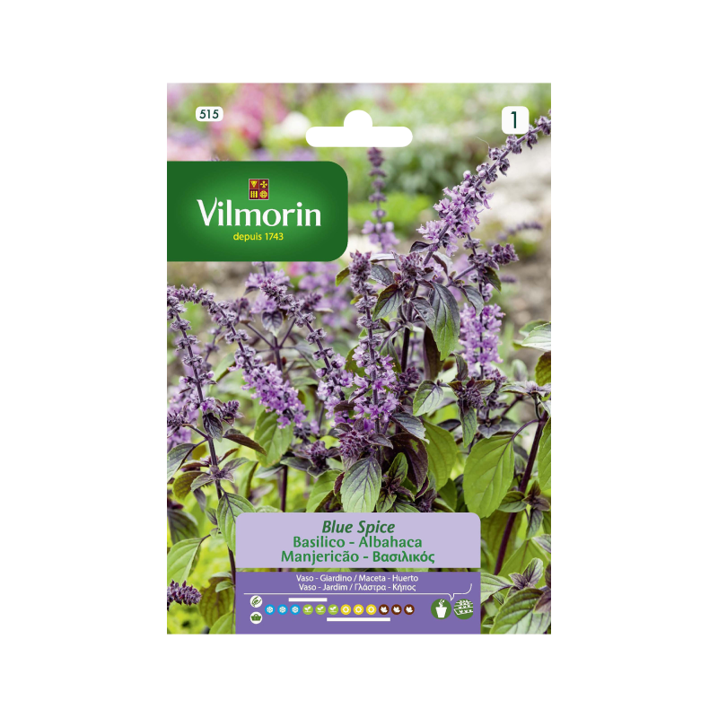 SEMILLAS ALBAHACA Blue Spice Vilmorin - Sobre 1 g
