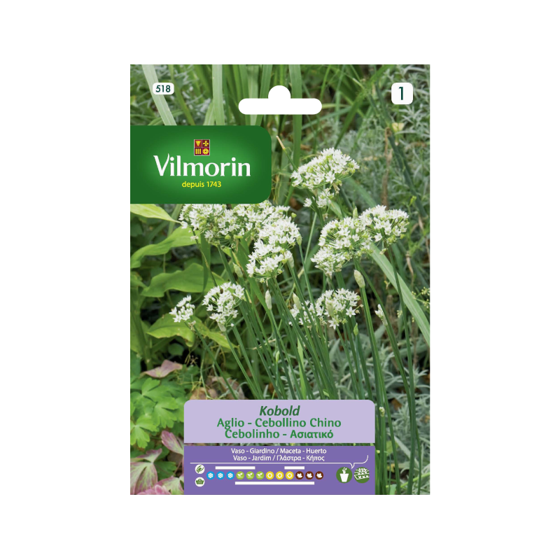 SEMILLAS CEBOLLINO Chino Kobold Vilmorin - Sobre 1 g