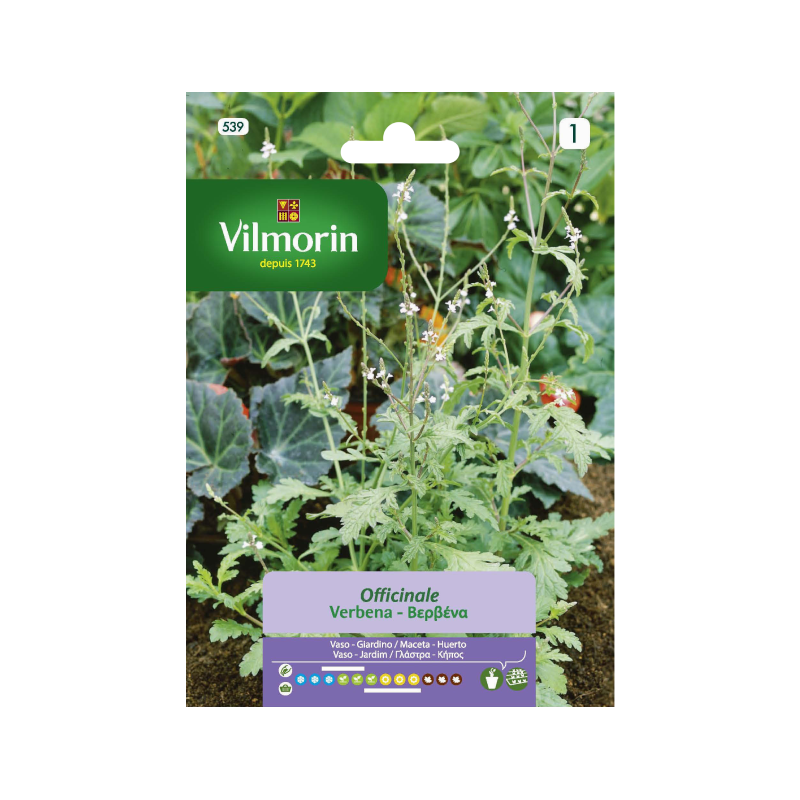 SEMILLAS VERBENA Officinale Vilmorin - Sobre 0,2 g