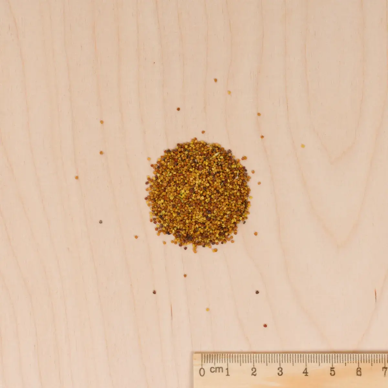 ABONO BIO TRÉBOL Encarnado Vilmorin - Sobre 60 g - Imagen 2